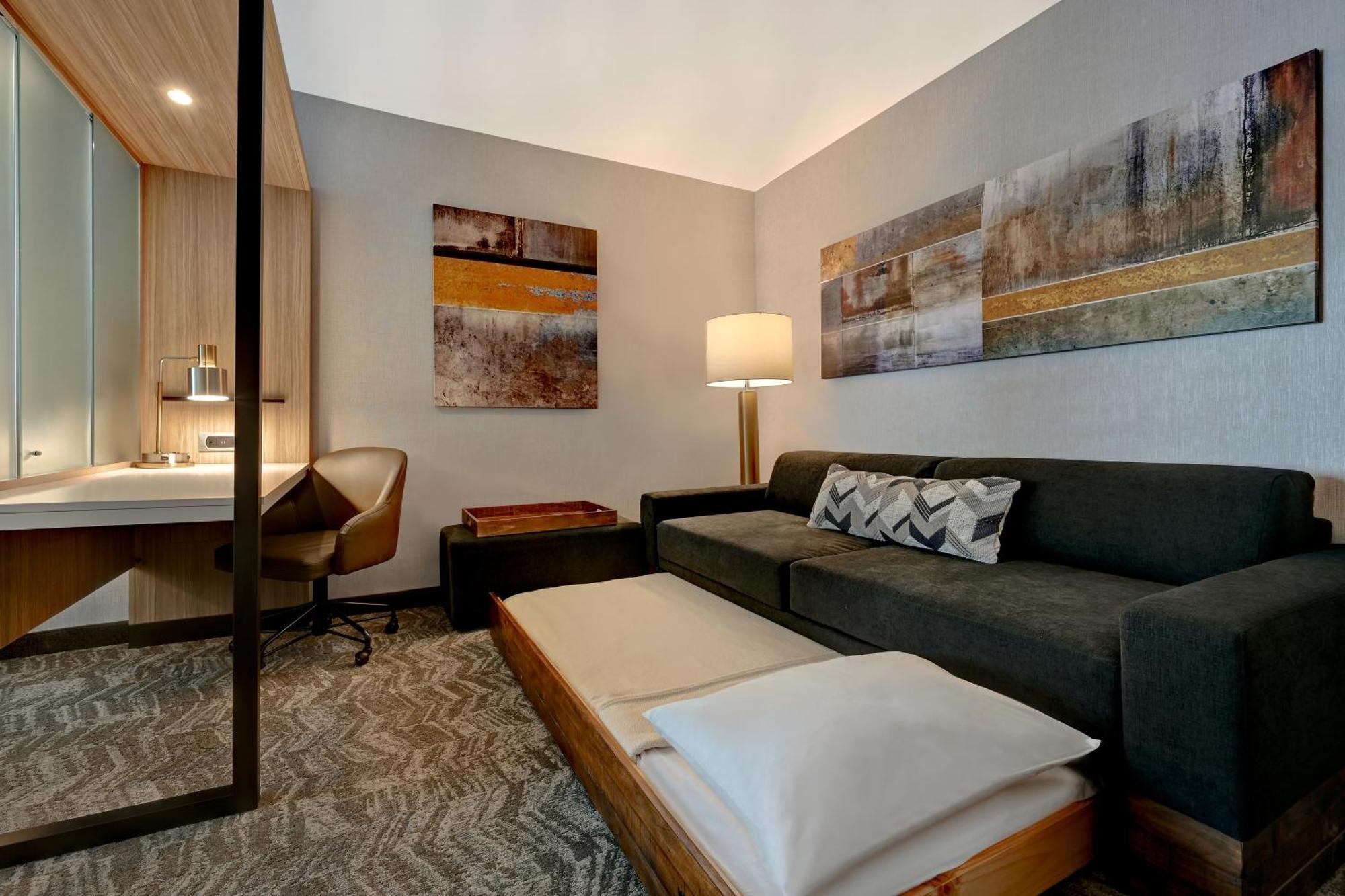 Springhill Suites By Marriott Albuquerque University Area מראה חיצוני תמונה