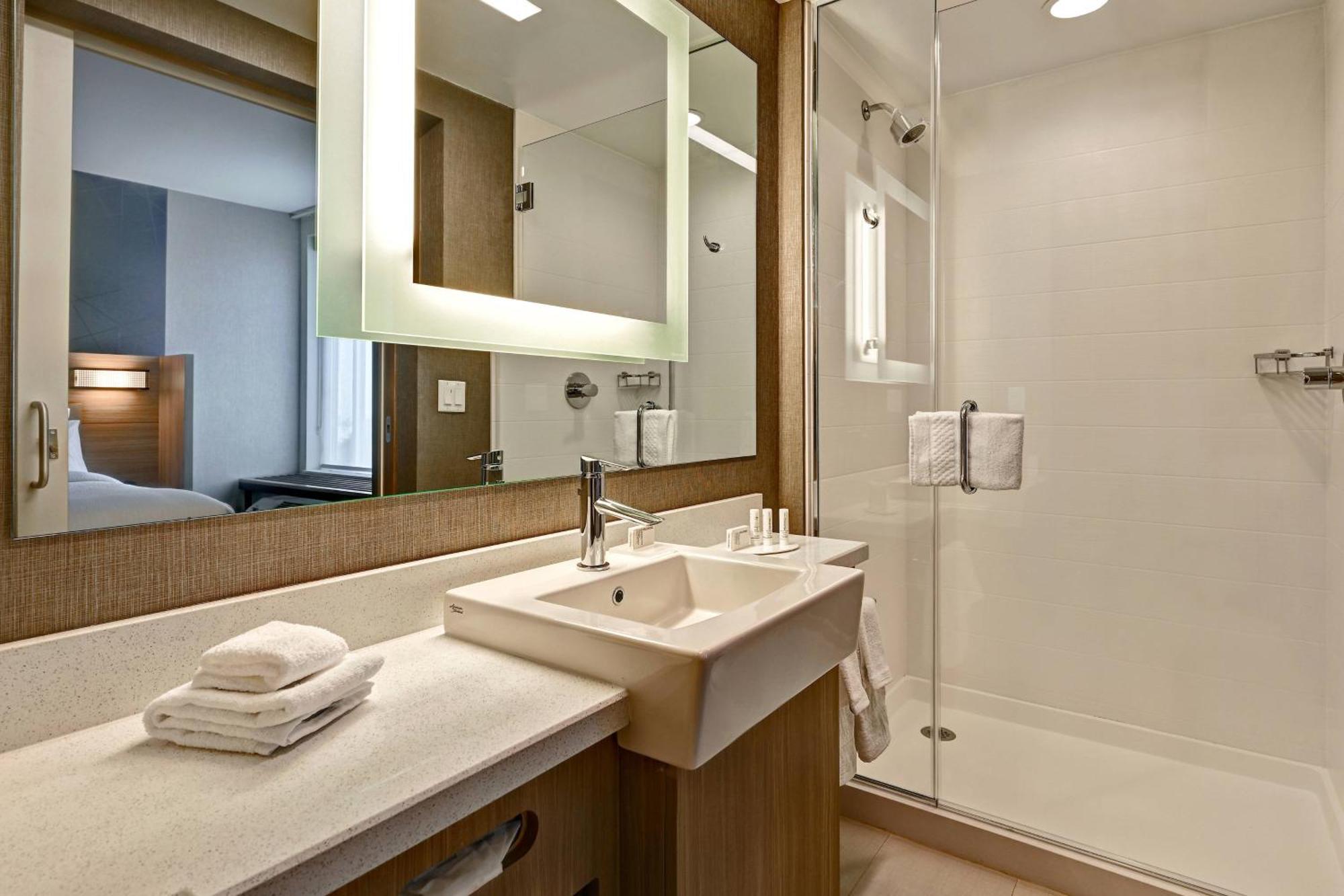 Springhill Suites By Marriott Albuquerque University Area מראה חיצוני תמונה